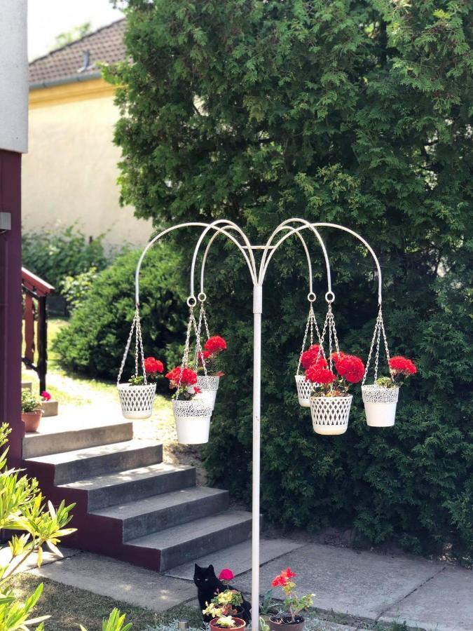 Major Csalad Apartman Хевіз Екстер'єр фото